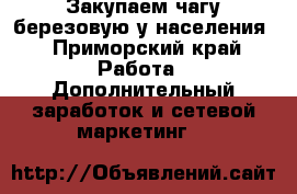 Закупаем чагу березовую у населения - Приморский край Работа » Дополнительный заработок и сетевой маркетинг   